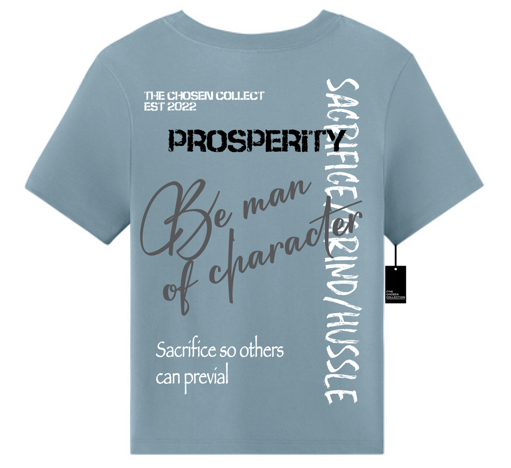 Vintage Denim Prosperity Tee